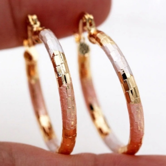 Tri Tone Classy Diamond Cut Hoop Earrings Ear Ring - Picture 3 of 4